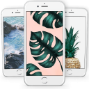 Tropical Wallpapers