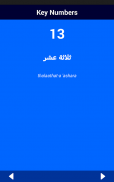 Arabic Number Whizz screenshot 11