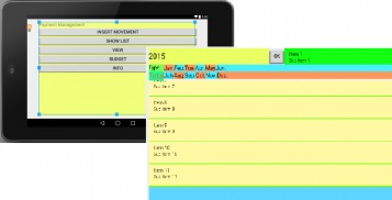 Income Statement screenshot 1