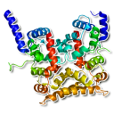 Human proteins