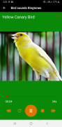 Bird Sounds Ringtones screenshot 1