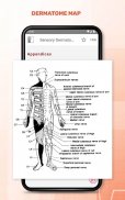 5 Minute Emergency Medicine screenshot 17