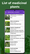 Plantas medicinales identifica screenshot 7