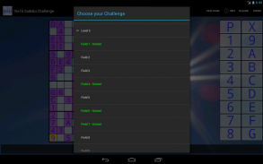 16x16 Sudoku Challenge HD screenshot 4