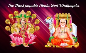 HD God-Goddess Wallpapers for all religious screenshot 7