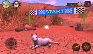 Bull Terier Dog Simulator screenshot 4