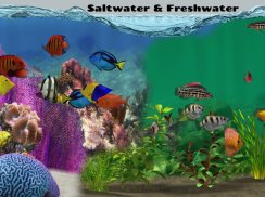 Fish Farm 2 screenshot 7