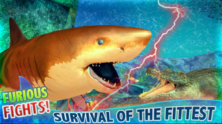 Real Shark Life - Shark Sim screenshot 7