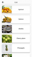 Fruits and Vegetables, Berries : Picture - Quiz screenshot 4