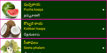 Learn Telugu From Tamil screenshot 7