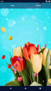 Tulip Spring 4K Wallpapers screenshot 5