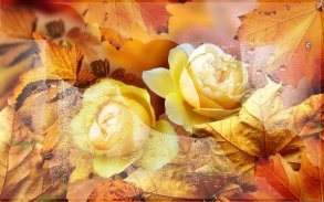 Roses Autumn live wallpaper screenshot 5