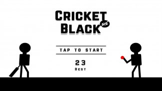 Blind Cricket Black screenshot 2