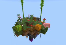 Maps for Minecraft PE skyblock screenshot 3