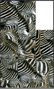 Zebras Puzzle screenshot 0