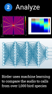 Birder.AI - The Bird Sound Ide screenshot 0