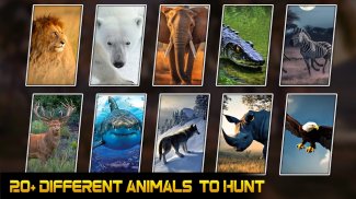 Wild Deer Hunt: Animal Hunting screenshot 13