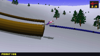 Deluxe Ski Jump 2 screenshot 5