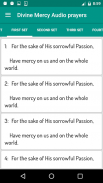 Divine Mercy Audio Prayers screenshot 3