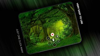 Forests wallpaper in 4K screenshot 2