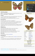 Butterflies: Encyclopedia screenshot 7