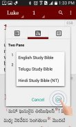 Study Bibles (Multiple Languag screenshot 4