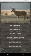 Deer hunting calls screenshot 1