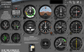 FSi C172 FREE screenshot 0