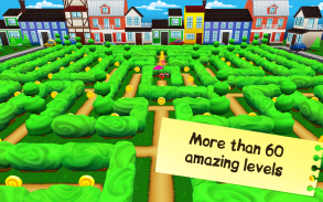 InaMaze: Labyrinths screenshot 7