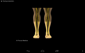 AQR - Diabetic Foot screenshot 3