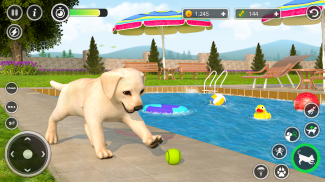 Dog Simulator Pet Dog Games 3D screenshot 7