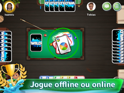 WILD & Friends! Jogo de Cartas screenshot 13