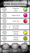 Bird Ringtones screenshot 7