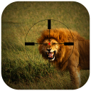 Lion Hunting in Jungle