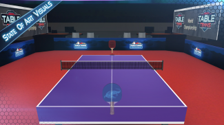 ปิงปอง 3 มิติ Table Tennis 3D screenshot 7