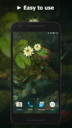 Koi Pond Video Live Wallpaper screenshot 0