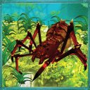 Spider Sims: Insect Tarantula Icon