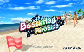 Beach Flag Paradise screenshot 5