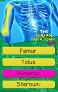 Kuis Pada Organ Tubuh Manusia screenshot 6