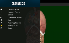 Organes Internes en 3D (Anatomie) screenshot 9