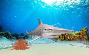 The Hammerhead Shark screenshot 6