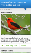 Merlin Bird ID by Cornell Lab of Ornithology screenshot 2