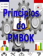 Princípios do PMBOK screenshot 1