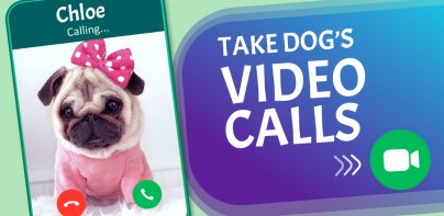 Dog Prank Call & Chat