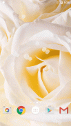 White Rose Live Wallpaper HD screenshot 6