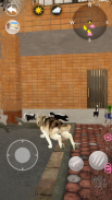 Konuşan Köpekler screenshot 0