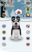 Falando Husky screenshot 0