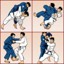 judo technique Icon