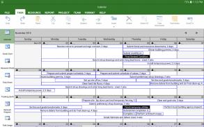 Project Plan 365 screenshot 17