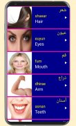 Learn Arabic From English screenshot 5